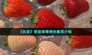 《抖音》香甜草莓梗的意思介绍