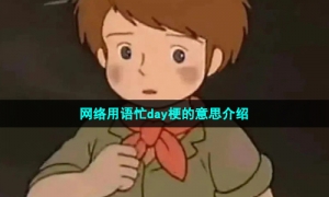 网络用语忙day梗的意思介绍