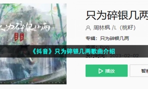 《抖音》只为碎银几两歌曲介绍