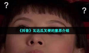 《抖音》瓦达瓜叉梗的意思介绍