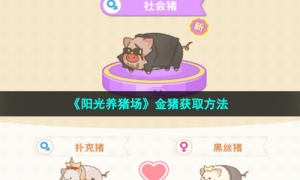 《阳光养猪场》金猪获取方法