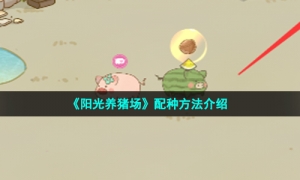 《阳光养猪场》配种方法介绍