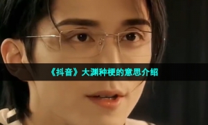 《抖音》大渊种梗的意思介绍