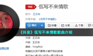 《抖音》佤写不来情歌歌曲介绍