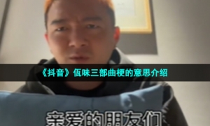 《抖音》佤味三部曲梗的意思介绍