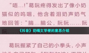 《抖音》奶嗝文学梗的意思介绍