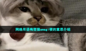 网络用语梅狸猫amagi梗的意思介绍