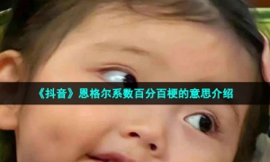 《抖音》恩格尔系数百分百梗的意思介绍