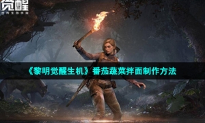 《黎明觉醒生机》番茄蔬菜拌面制作方法