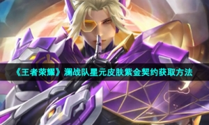 《王者荣耀》澜战队星元皮肤紫金契约获取方法