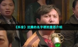 《抖音》沈腾的名字梗的意思介绍