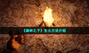 《森林之子》生火方法介绍