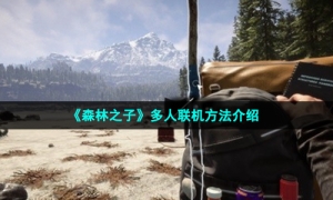 《森林之子》多人联机方法介绍