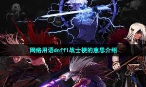 网络用语dnff1战士梗的意思介绍
