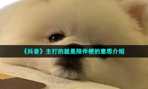 《抖音》主打的就是陪伴梗的意思介绍