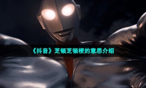 《抖音》芝顿芝顿梗的意思介绍