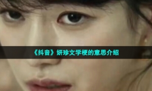 《抖音》妍珍文学梗的意思介绍