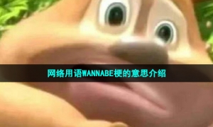 网络用语WANNABE梗的意思介绍