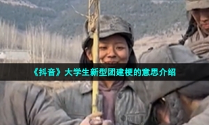 《抖音》大学生新型团建梗的意思介绍