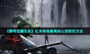 《黎明觉醒生机》红木林地最高的山顶前往方法