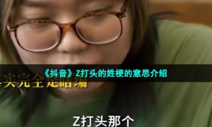 《抖音》Z打头的姓梗的意思介绍