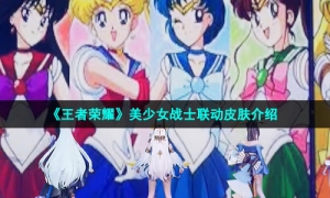 《王者荣耀》美少女战士联动皮肤介绍