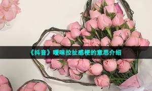 《抖音》暧昧拉扯感梗的意思介绍