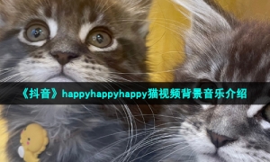 《抖音》happyhappyhappy猫视频背景音乐介绍