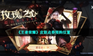 《王者荣耀》皮肤点券预购位置