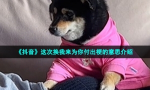 《抖音》这次换我来为你付出梗的意思介绍