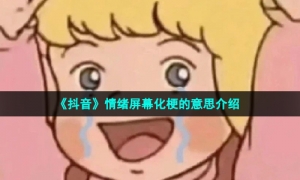 《抖音》情绪屏幕化梗的意思介绍