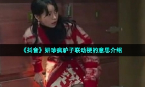 《抖音》妍珍疯驴子联动梗的意思介绍