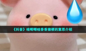 《抖音》哇唧唧哇香香猪梗的意思介绍