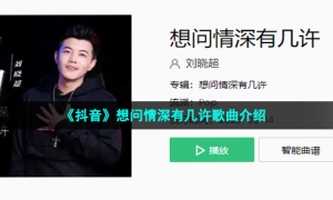 《抖音》想问情深有几许歌曲介绍