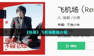 《抖音》飞机场歌曲介绍