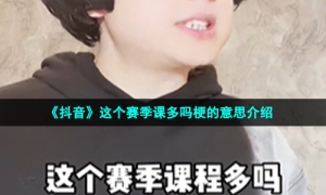 《抖音》这个赛季课多吗梗的意思介绍