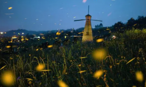 《支付宝》蚂蚁庄园2023年4月23日每日一题答案