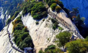 《支付宝》蚂蚁庄园2023年4月24日每日一题答案