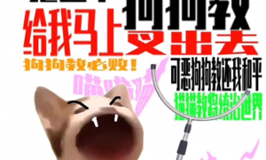 《抖音》小猫happy歌歌曲介绍