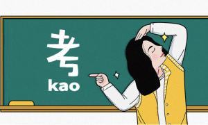 资料齐全的快速考证学习软件推荐