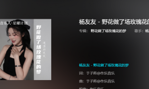 《抖音》野花做了一场玫瑰花的梦歌曲介绍