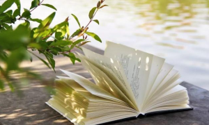 可以自己导入书源的小说阅读软件推荐