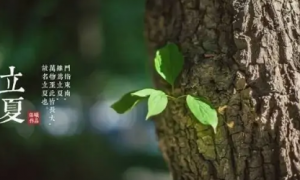 《支付宝》蚂蚁庄园2023年5月6日每日一题答案