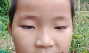 《抖音》大家好我叫没烦恼梗的意思介绍