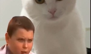 《抖音》小胖孩绷不住了表情包分享