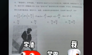 《抖音》披萨塔尖叫梗的意思介绍