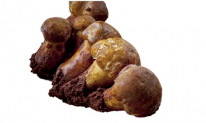 《支付宝》蚂蚁庄园2023年5月18日每日一题答案