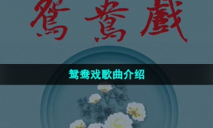 《抖音》鸳鸯戏歌曲介绍