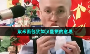 《抖音》紫米面包犹如汉堡梗的意思介绍