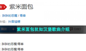 《抖音》紫米面包犹如汉堡歌曲介绍